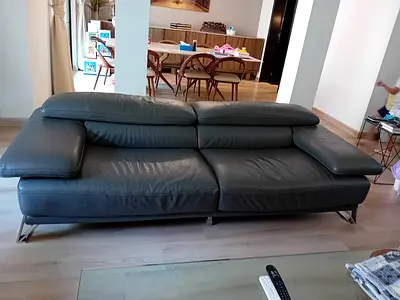Roche Bobois Leather Sofa