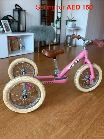 Trybike 2-in-1 Trike