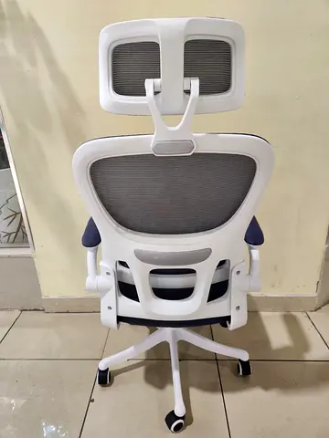 Office mesh chairs with lumber support
