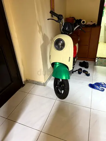 Electric Scooter