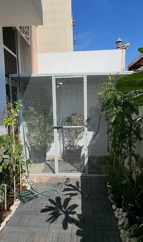 Spacious Bird Aviary for Sale