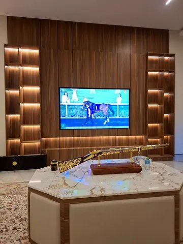 Tv Wall Expert/ Cinema Wall/ Decore work