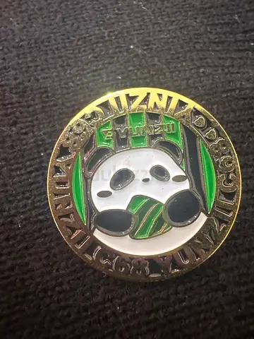 Unique Panda Collectible Coin