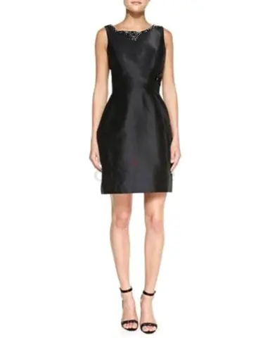 Adriana Papell Dress with Beaded Neckline
