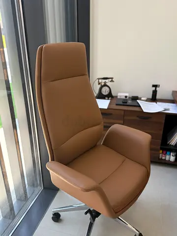 Comfortable Executive Office