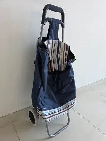 Rolling Cart with Foldable Seat