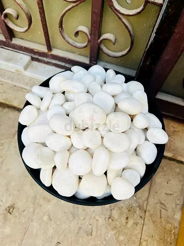 Pebble stone white for gardening and indoor plants