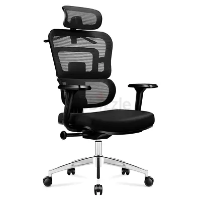 Ergo Mesh Office Chair - Height Adjustable Headrest, Back  Armrests | Stable Swivel Base