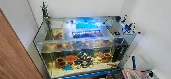 Aquariam Tank