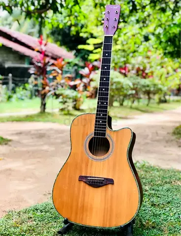 Beautiful Acoustic Electric Guitar in Great Condition