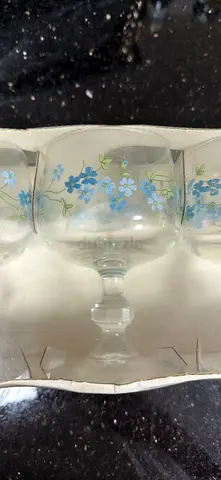 Vintage Floral Design Glassware Set