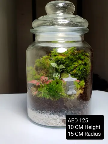 Terrarium for sale