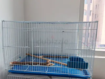 High-Quality Bird Cage for Sale