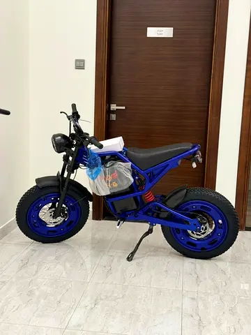 Aster x9 electric bike