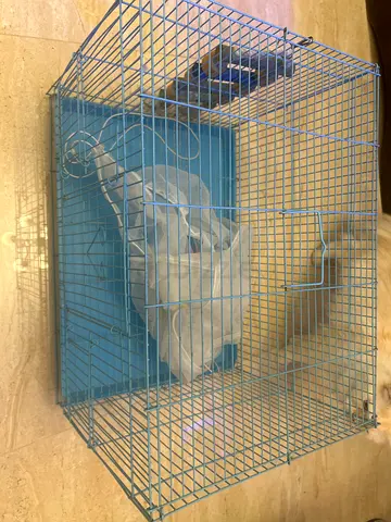 Blue Pet Cage and toy for Sale