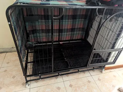 Sturdy Dog Cage for Sale