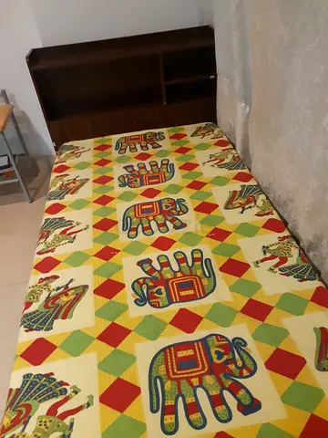 Colorful Hand-Painted Bed with Storage