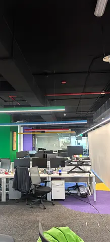 Paint, electric, plumber and carpenter