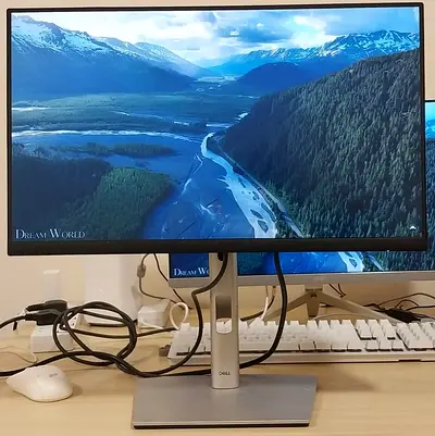 Dell 22 boarderless rotatable monitor.