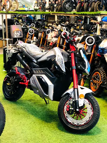 Z6 electric bike