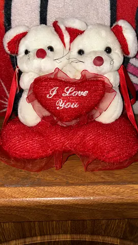 Cute Stuffed Animal Love Bears