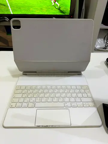 apple magic keyboard 12.9 (with protector skin from day one )
