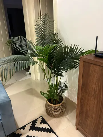 Stylish Artificial Plant, Basket not included