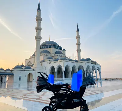 Double stroller contours branded