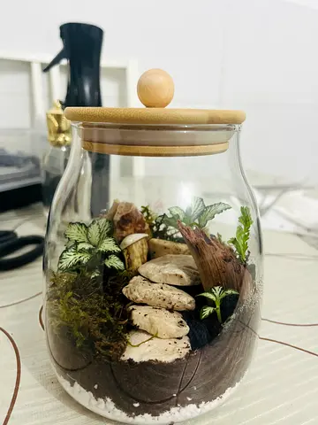 Beautiful Terrarium with Natural Elements