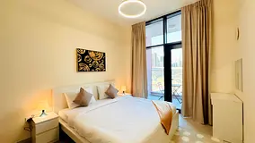 Luxurious 1bhk | Fully Furnished | Free DEWA/WiFi