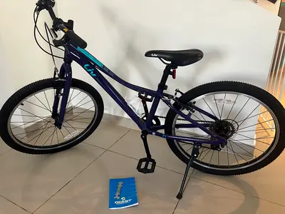 Giant Mountain Bike for Sale - Great Condition!