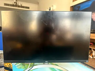 LG monitor
