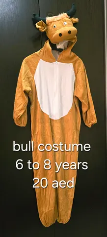 Costume