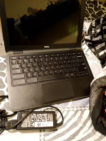 الخالديه ابو ظبي