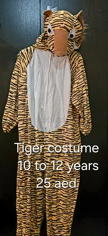 Tiger Costume