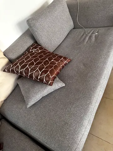 Comfy Gray Sofa with Decorative Cushions