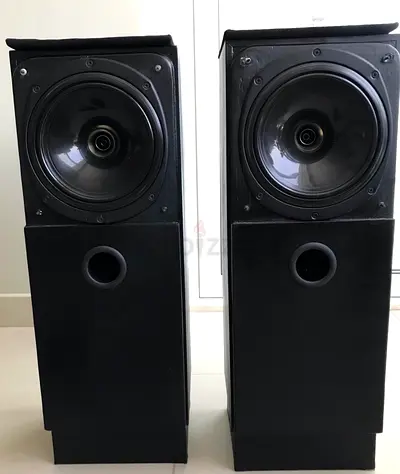 Tannoy DIY Speakers