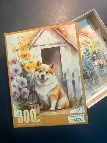 Puzzle 300