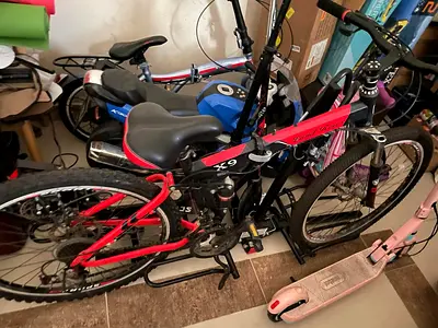 Bicycle. Bike for young adults