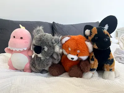 Adorable Collection of Stuffed Animals