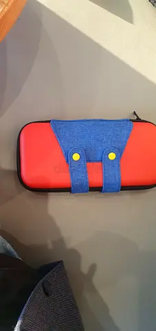 Nintendo case