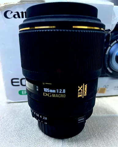 Sigma 105mm f/2.8 EX DG Macro Lens for Nikon and Nikon AF-S DX Nikkor 18-135mm f/3.5-5.6G ED