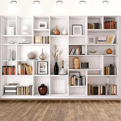 Modern and Stylish Bookcase for Sale