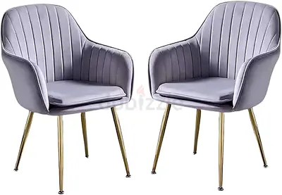Elegant Grey Accent Chairs - Set of 2
