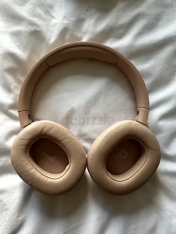 JBL Comfortable Over-Ear Headphones in Baby pink