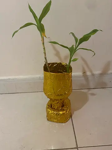 Recycled Golden plant pot with plant..