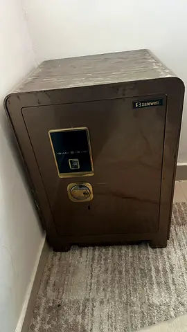 Reliable Safe for Secure Storage
