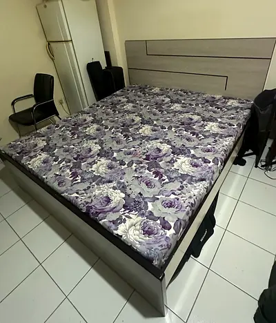 Cat  bed