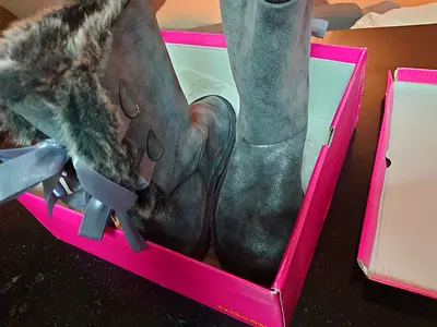 Ladies boots