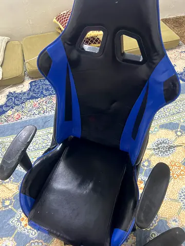 الشامخة 12 فيلة 23